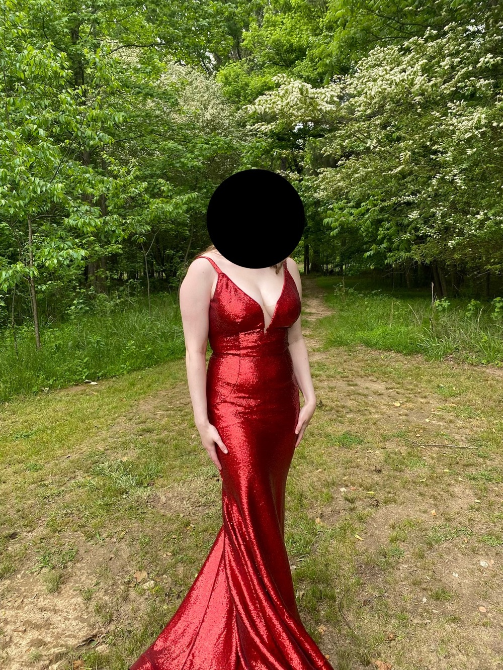 Ashley Lauren Red Size 8 Mermaid Gown